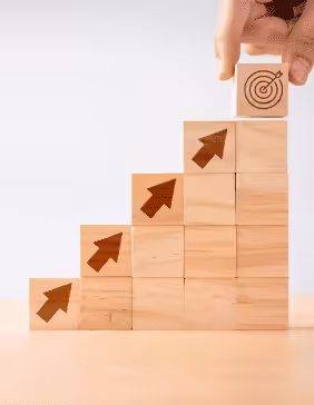 Optimisation Process